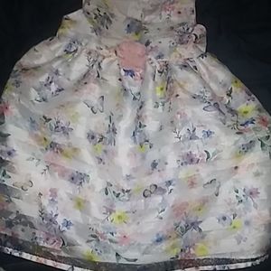 Beautiful floral and butterfly dress worn once